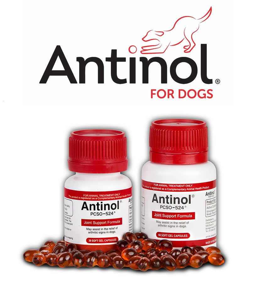 Antinol for dogs